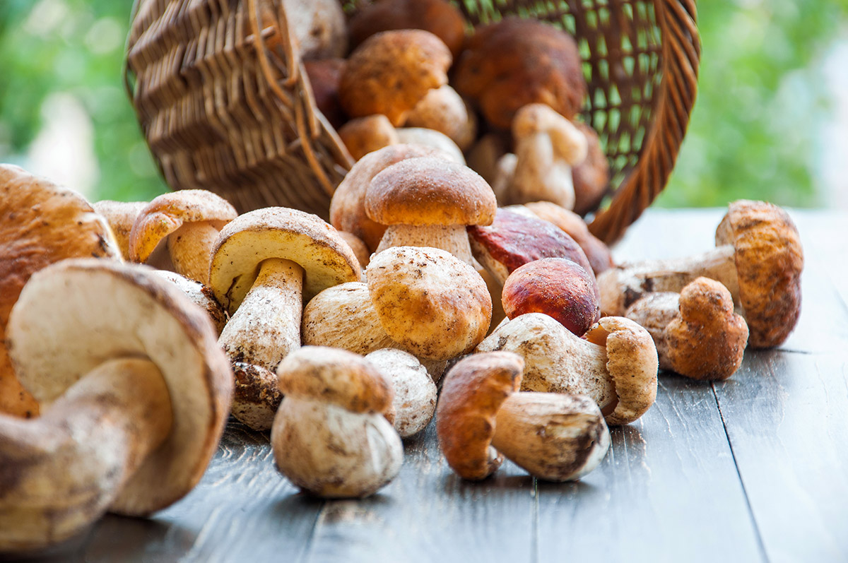 Italian mushrooms