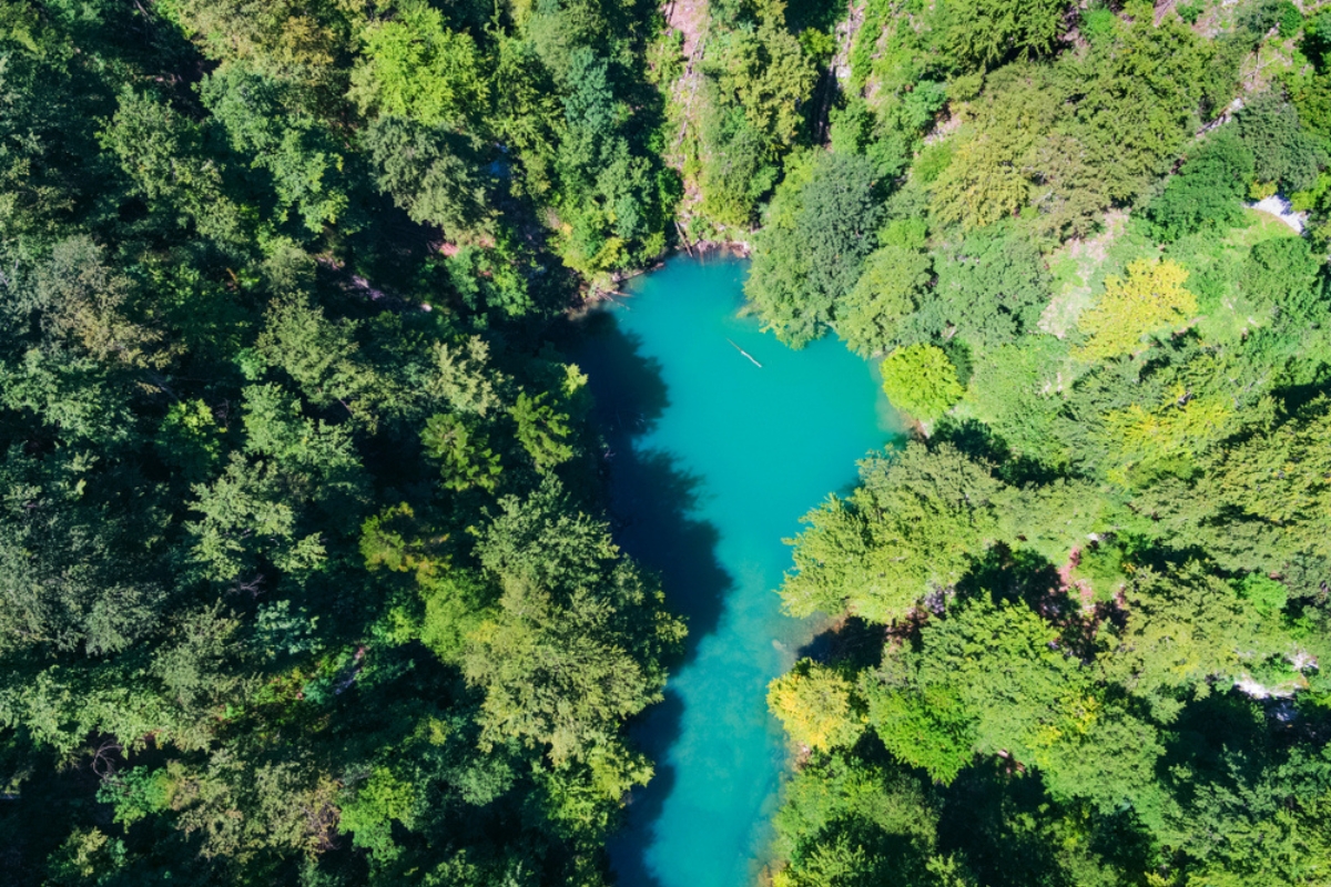 Купа фотографии. Река купа Хорватия. Река Амазонка. Реки России. Плитвицкие озёра Хорватия фото.